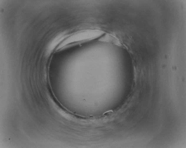 X0000075830005200610061834