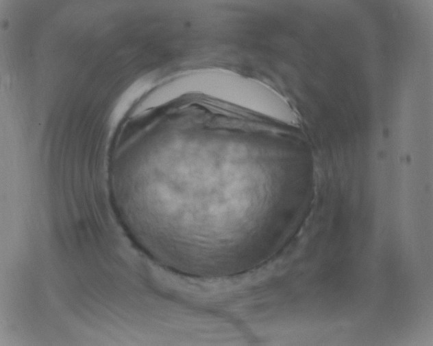 X0000075830006200610061834