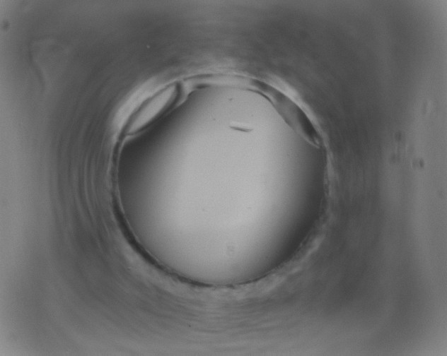 X0000075830007200610061834