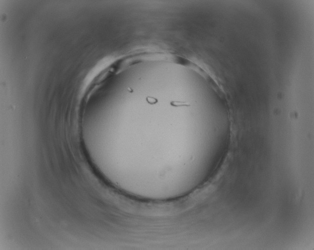 X0000075830008200610061834