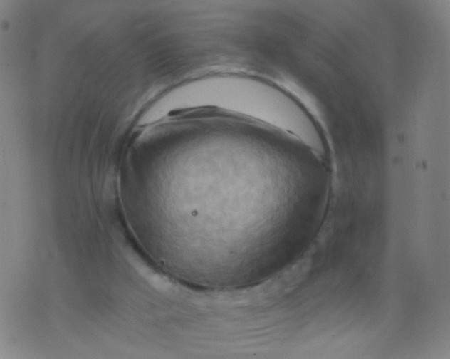 X0000075830009200610061834