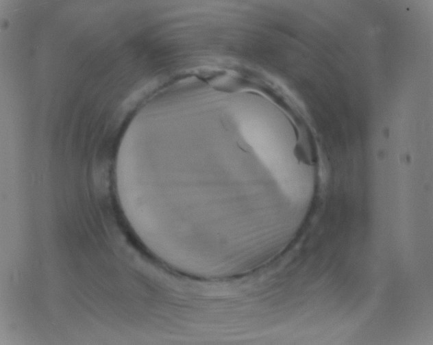 X0000075830010200610061833