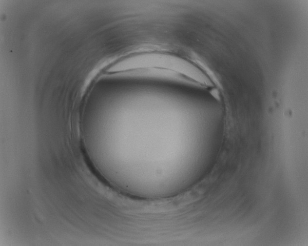 X0000075830011200610061833