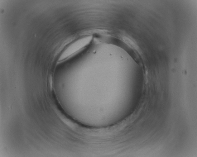 X0000075830013200610061833