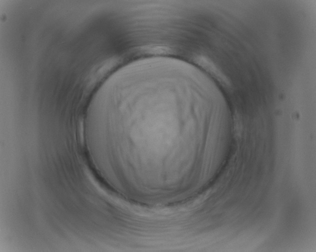 X0000075830014200610061833