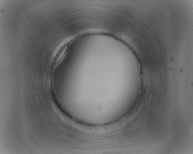 X0000075830015200610061833