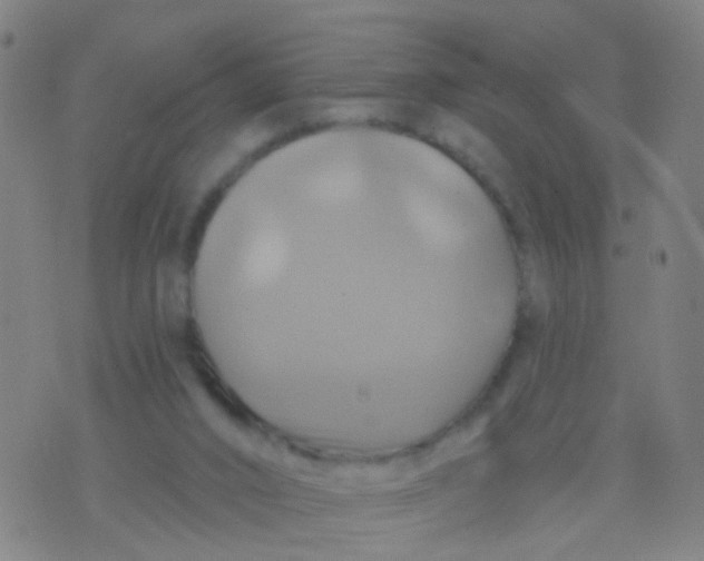 X0000075830016200610061833