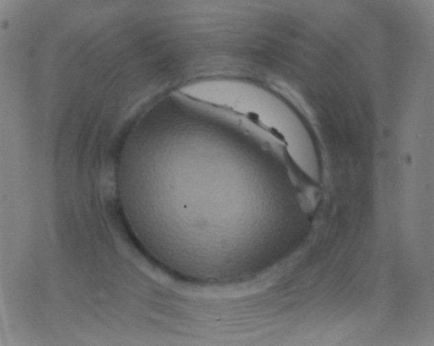 X0000075830017200610061833