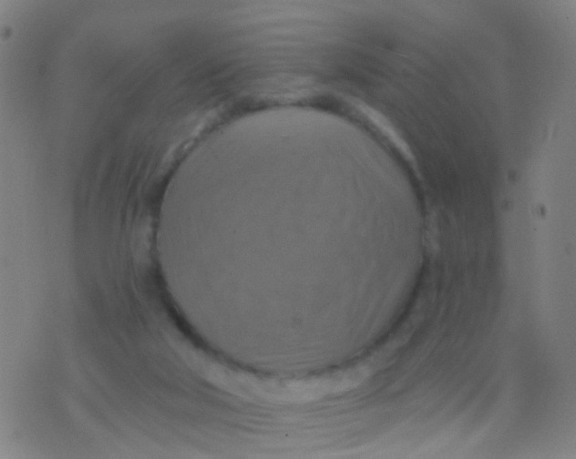 X0000075830018200610061833