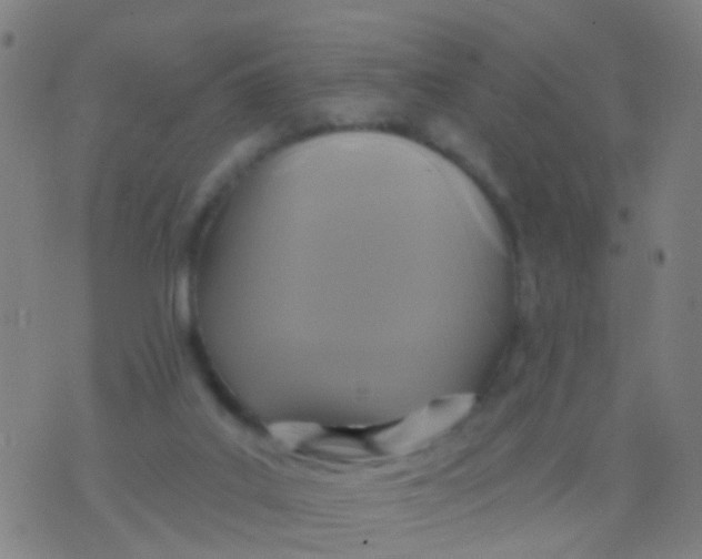 X0000075830019200610061833