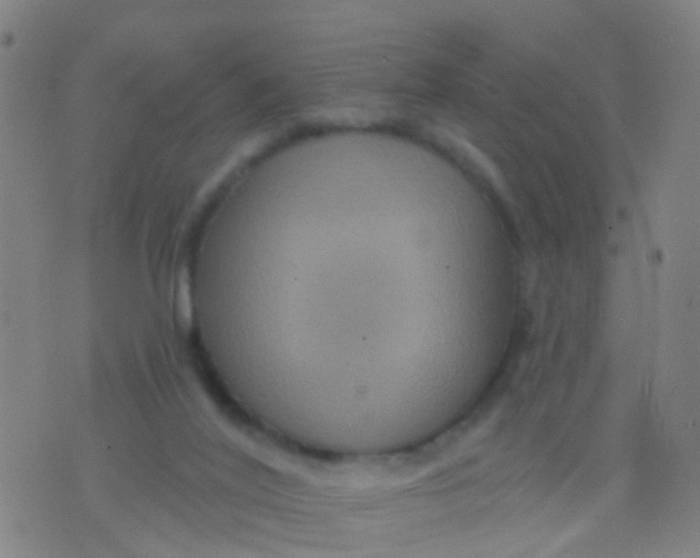 X0000075830020200610061833