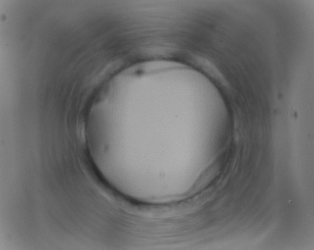 X0000075830021200610061833