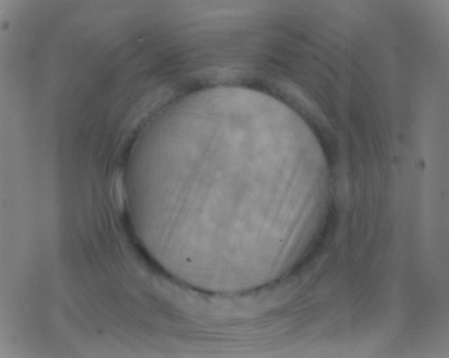 X0000075830022200610061833