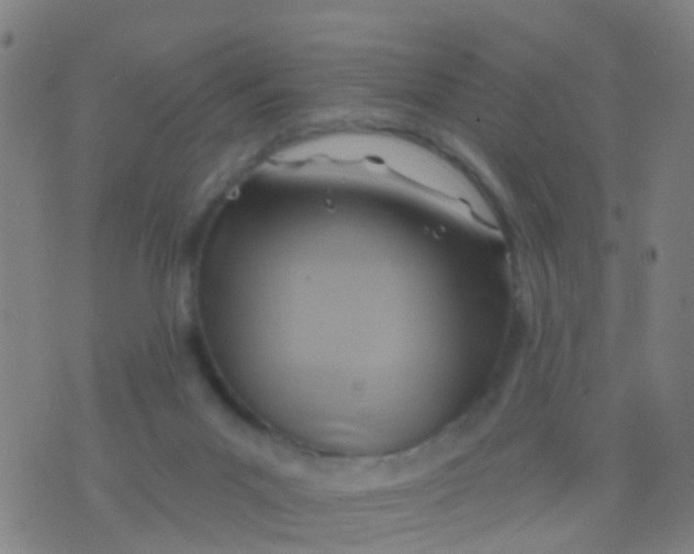 X0000075830023200610061833