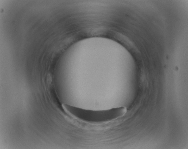 X0000075830025200610061833