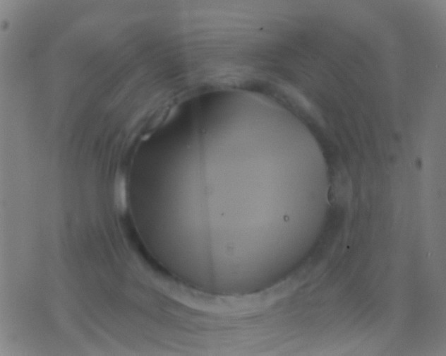 X0000075830027200610061833