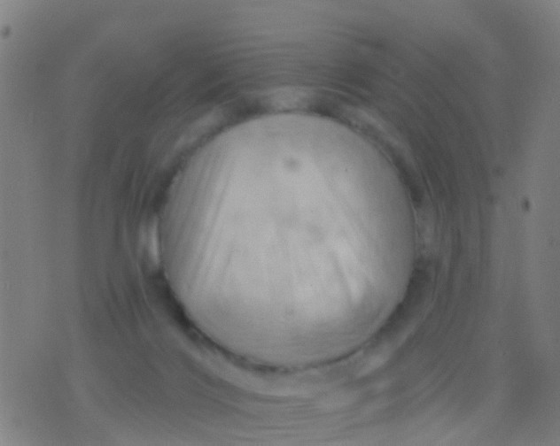 X0000075830028200610061833