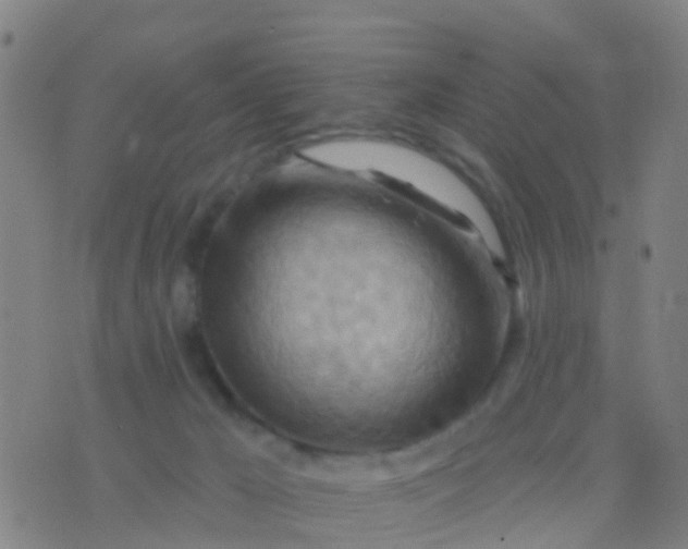 X0000075830029200610061833