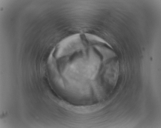 X0000075830030200610061833