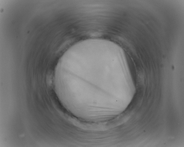 X0000075830032200610061833