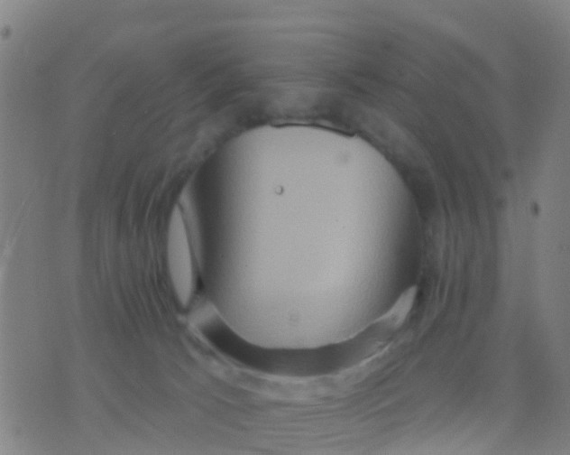 X0000075830033200610061833