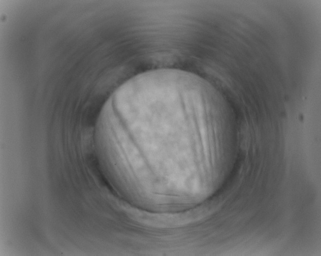 X0000075830034200610061833