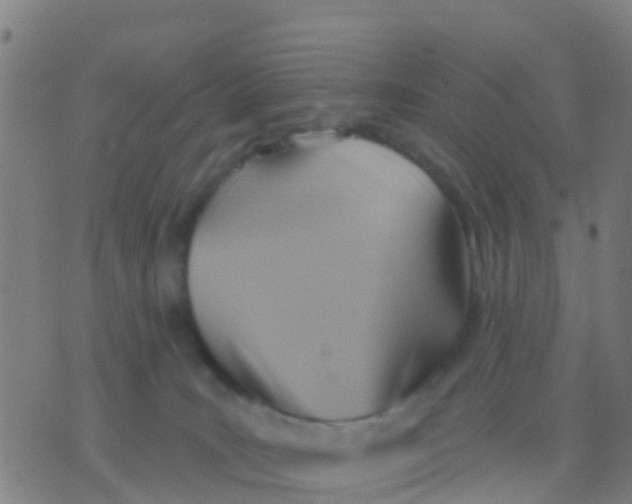 X0000075830035200610061833