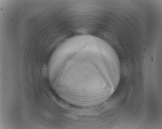 X0000075830036200610061833