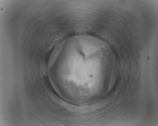 X0000075830038200610061833