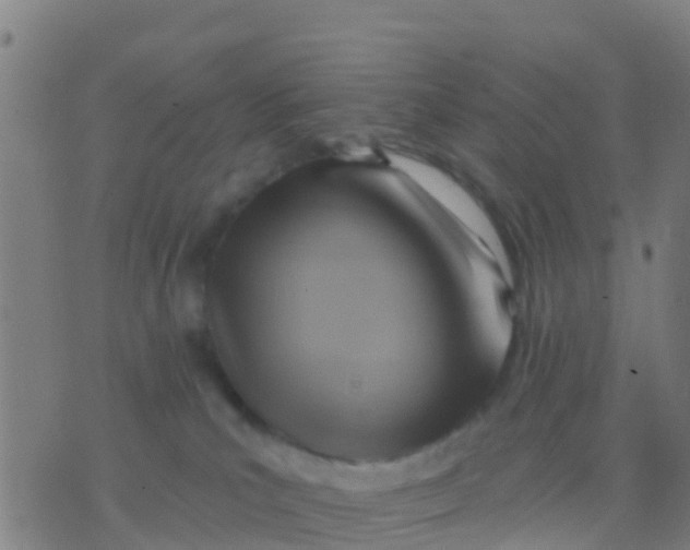 X0000075830039200610061833