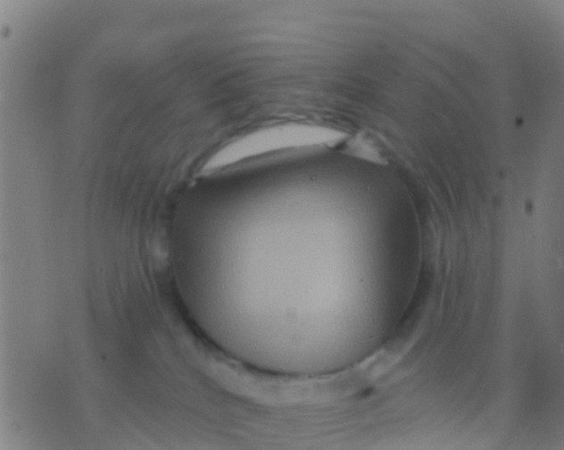 X0000075830040200610061833