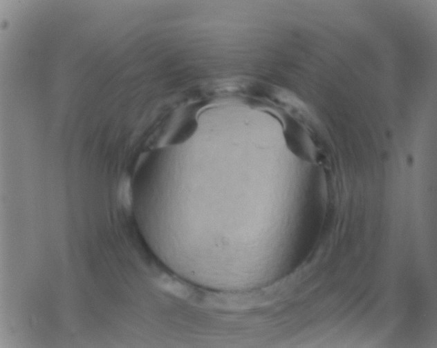 X0000075830041200610061833