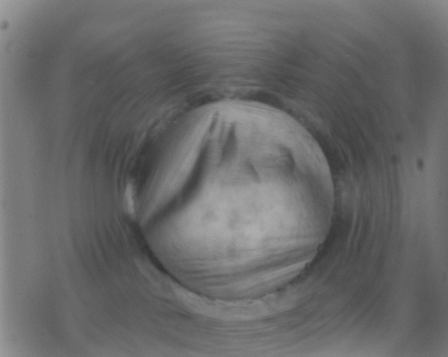 X0000075830042200610061833