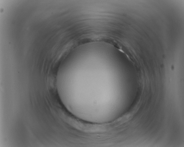 X0000075830044200610061833