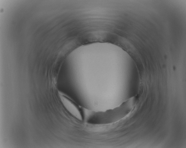 X0000075830045200610061833