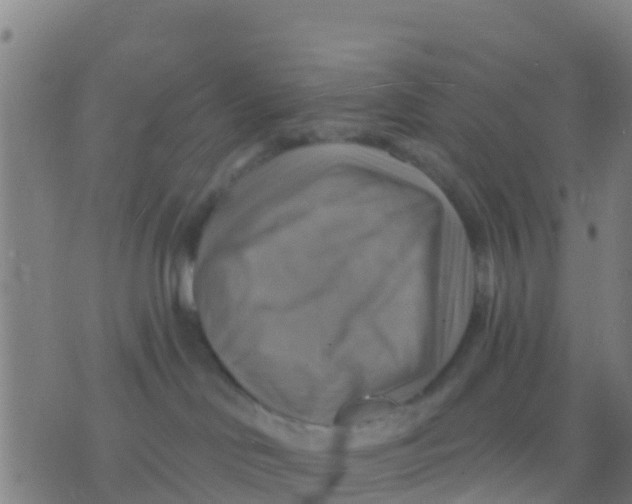 X0000075830046200610061833