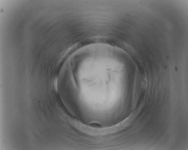 X0000075830047200610061833