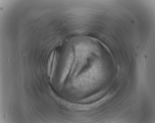 X0000075830048200610061833