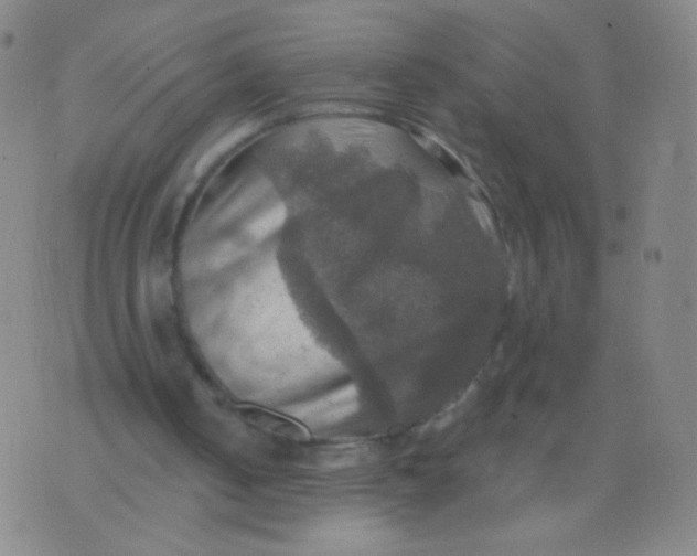 X0000075830050200610061832