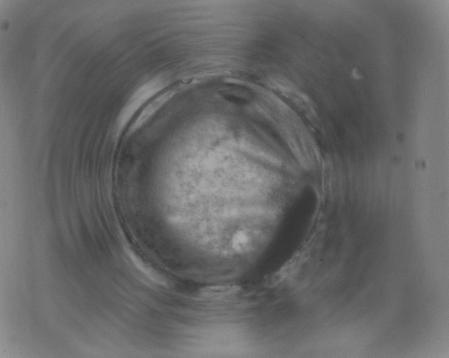 X0000075830051200610061832