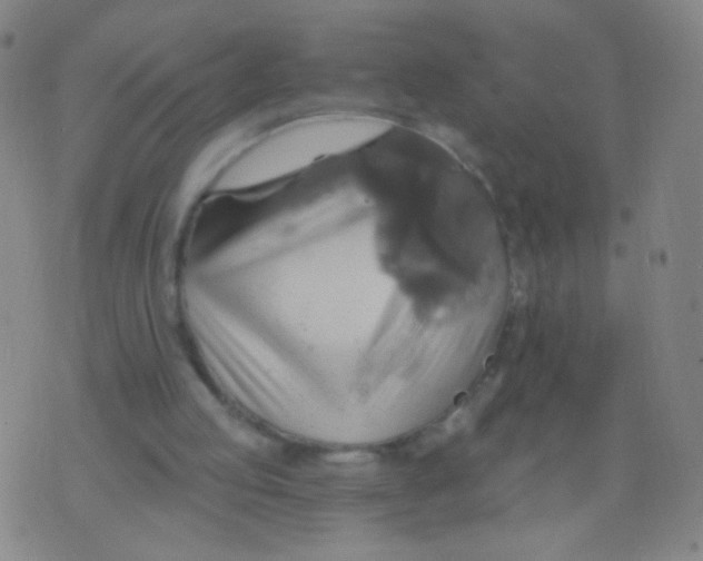 X0000075830053200610061832