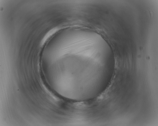 X0000075830054200610061832