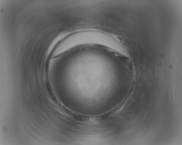 X0000075830056200610061832