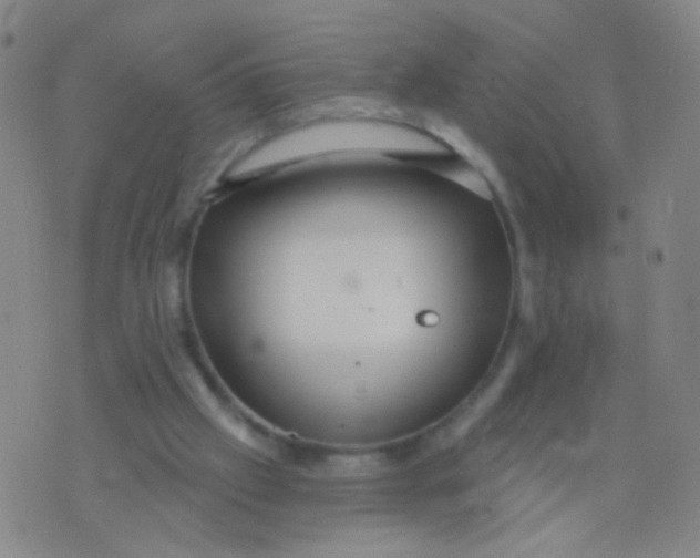 X0000075830057200610061832