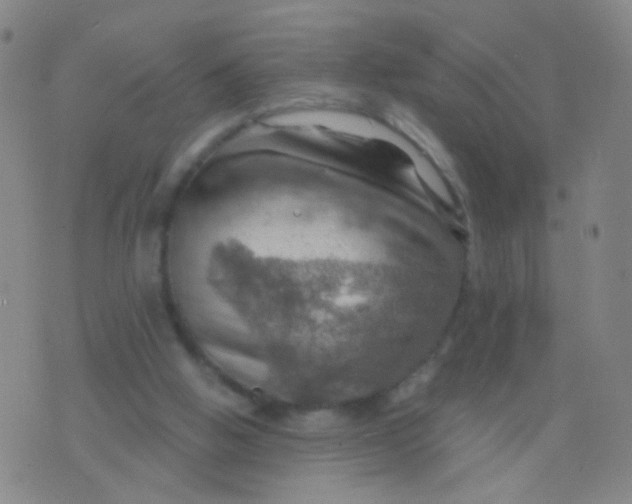 X0000075830058200610061832