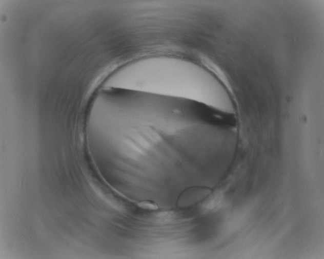 X0000075830059200610061832