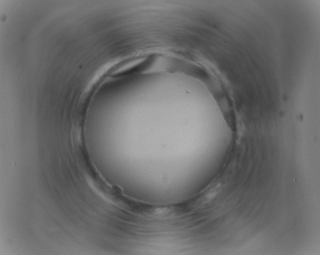 X0000075830060200610061832