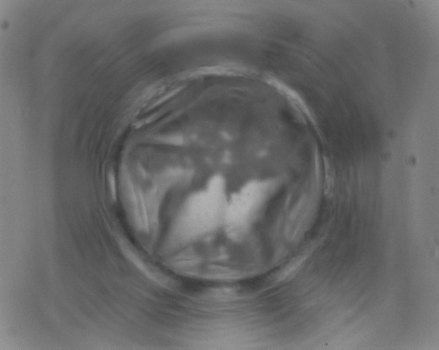 X0000075830061200610061832