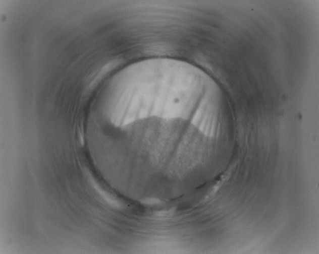 X0000075830062200610061832