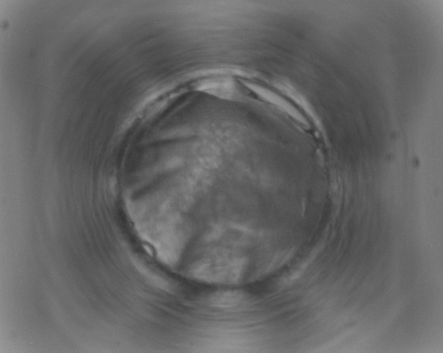 X0000075830063200610061832